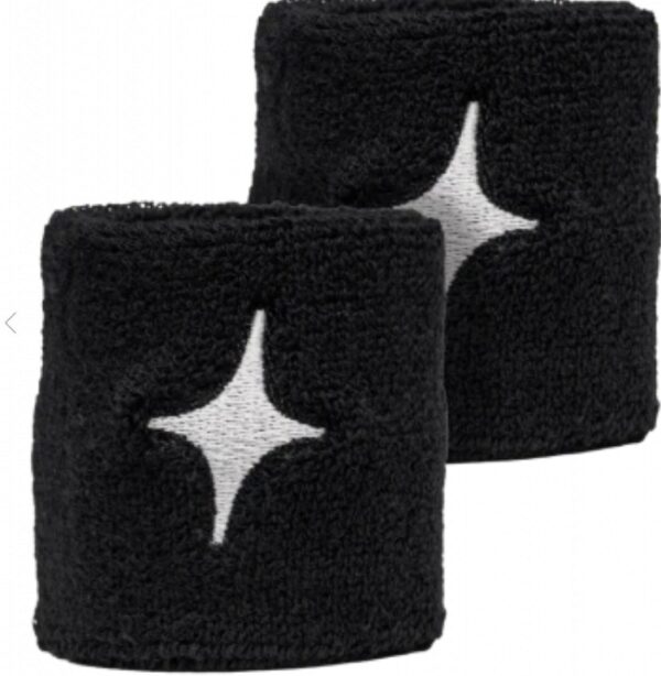 Starvie Negro/Plateado